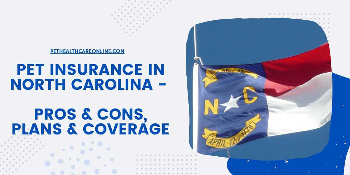 Pet Insurance North Carolina