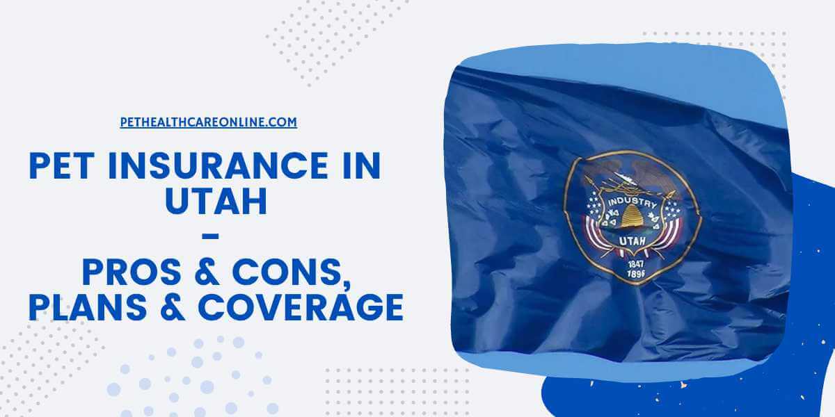 Pet Insurance in Utah
