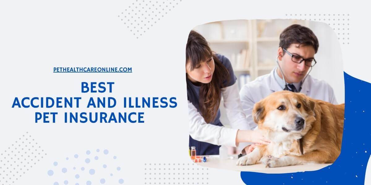 Best accident illness pet insurance