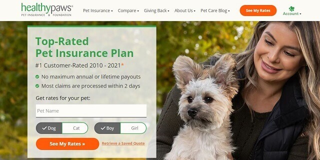 Healthy Paws pet insurance