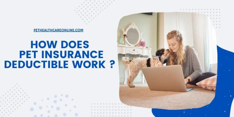 How do annual pet insurance deductibles work