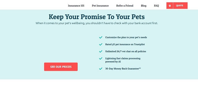 Prudent pet insurance