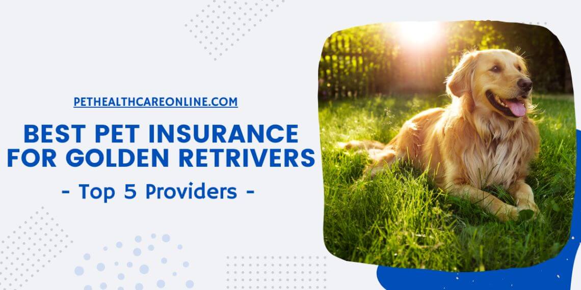 Best Pet Insurance for Golden Retrievers