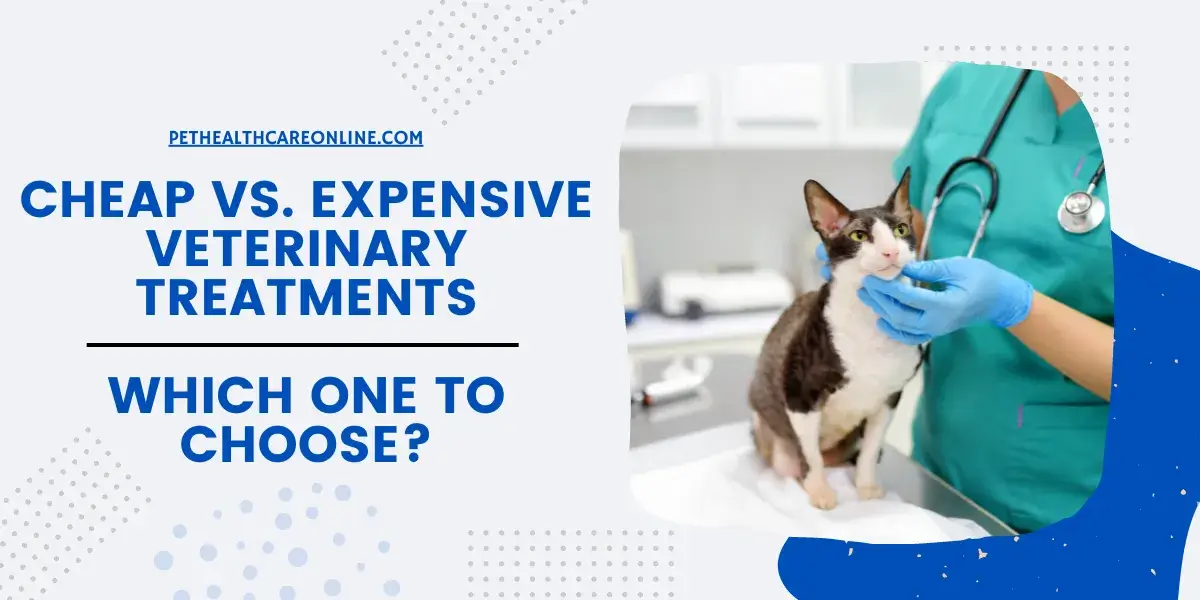 Cheap vs Expensive Veterinary Treatments