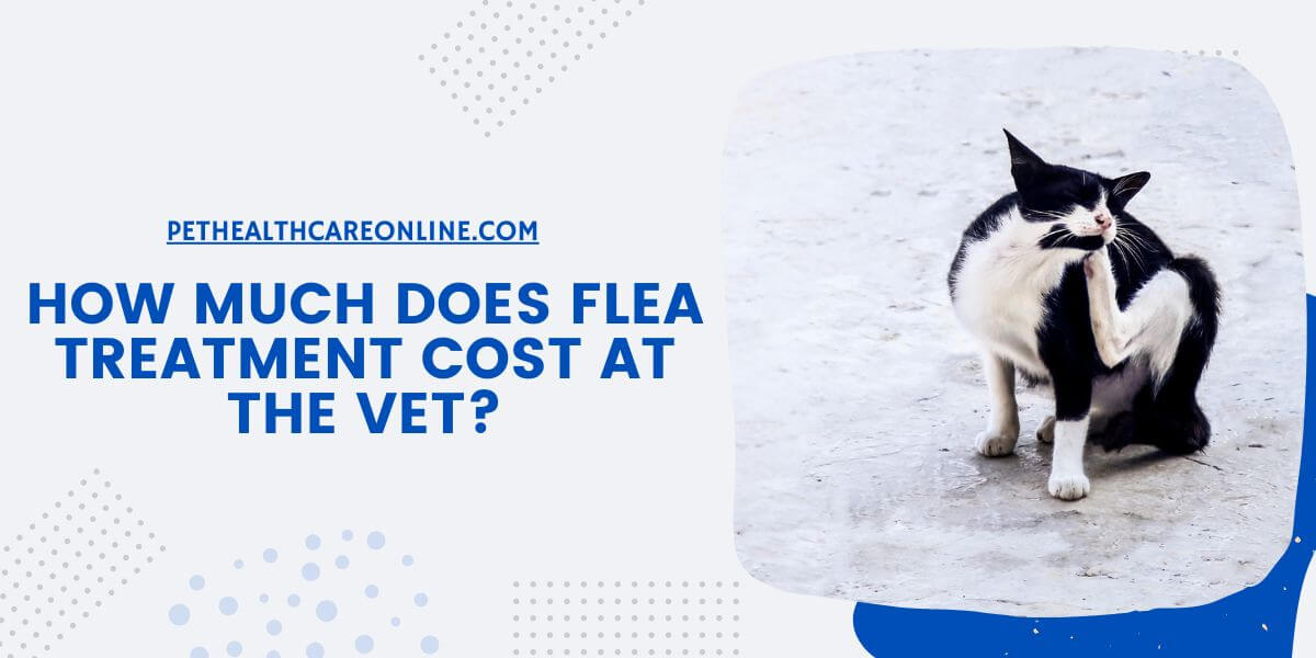 Flea Treatment Cost at the Vet