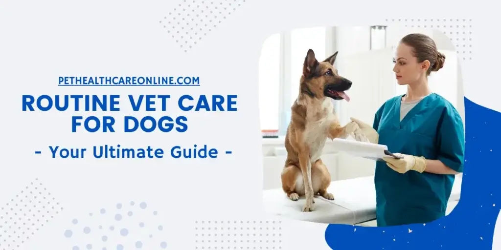 Routine Vet Care for Dogs
