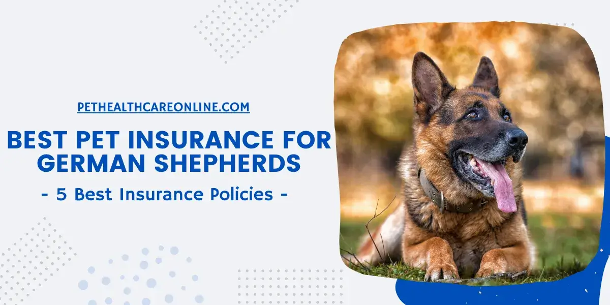 The Best Pet Insurance for German Shepherds