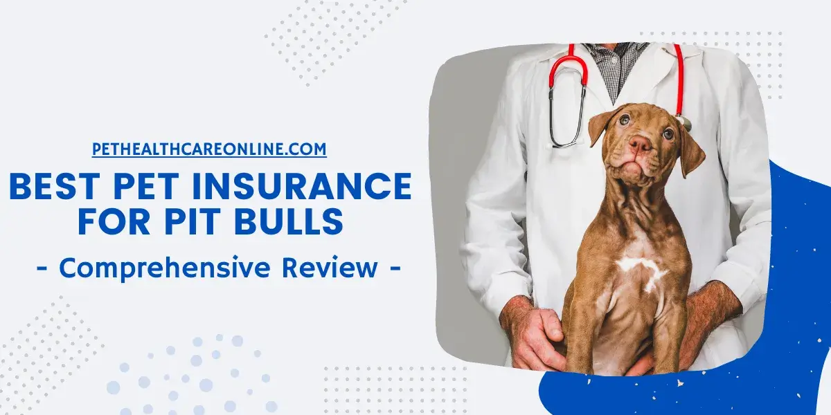 The Best Pet Insurance for Pit Bulls