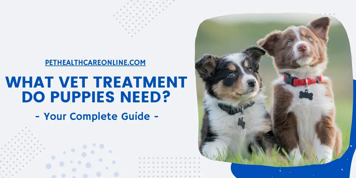 What Vet Treatments Do Puppies Need?
