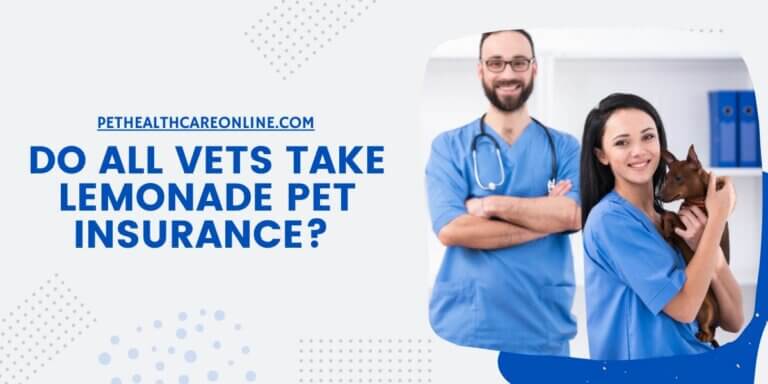Do All Vets Take Lemonade Pet Insurance