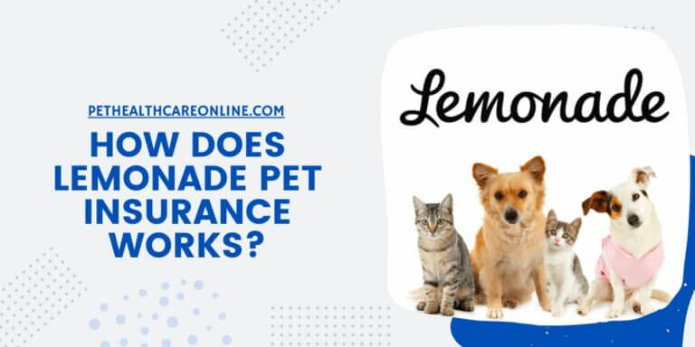 How does lemonade pet insurance works