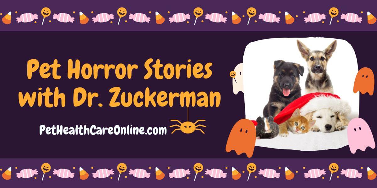 Pet Horror Stories with Dr Zuckerman