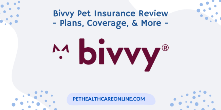Bivvy Pet Insurance