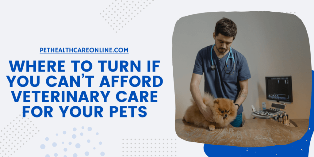 Where To Turn If You Can’t Afford Veterinary Care for Your Pets featured image