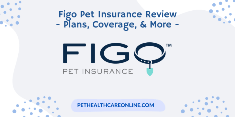 figo review featured image