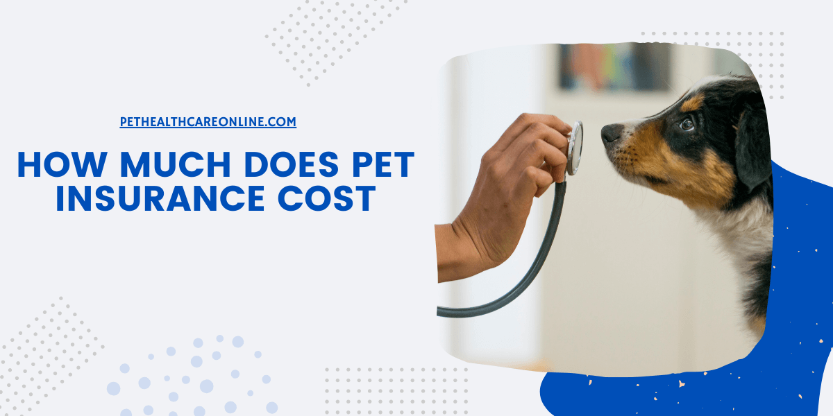 How Much Does Pet Insurance Cost featured image